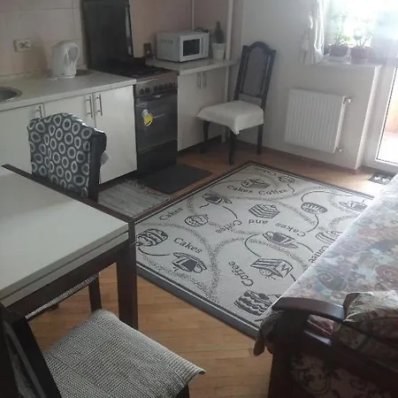 Apartamant On Srtyiska * Lviv